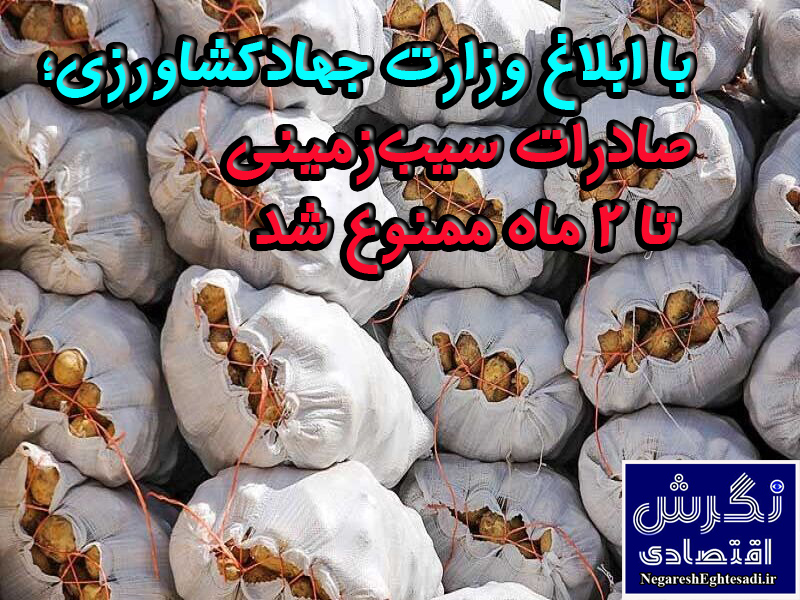 صادرات سیب‌زمینی تا ۲ ماه ممنوع شد