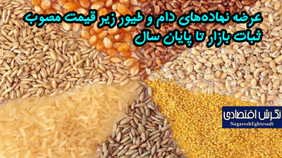 عرضه نهاده‌های دام و طیور زیر قیمت مصوب ثبات بازار تا پایان سال
