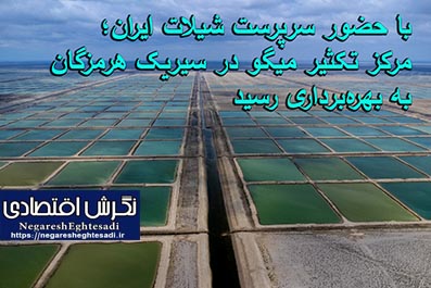 مرکز تکثیر میگو در سیریک هرمزگان به بهره‌برداری رسید