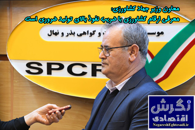 معاون وزیر جهاد کشاورزی: معرفی ارقام کشاورزی با ضریب نفوذ بالای تولید ضروری است
