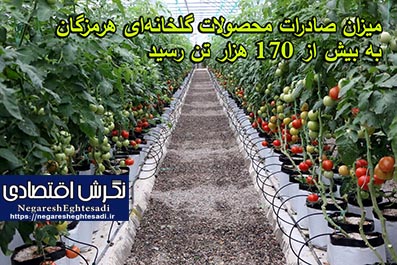 میزان صادرات محصولات گلخانه‌ای هرمزگان به بیش از ۱۷۰ هزار تن رسید