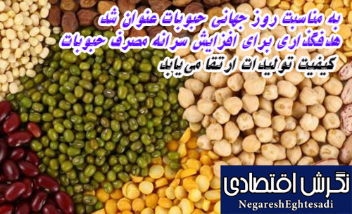 هدفگذاری برای افزایش سرانه مصرف حبوبات/ کیفیت تولیدات ارتقا می‌یابد