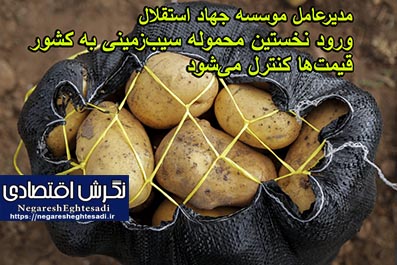 مدیرعامل موسسه جهاد استقلال: ورود نخستین محموله سیب‌زمینی به کشور/ قیمت‌ها کنترل می‌شود
