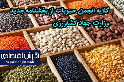 سید عبدی افتخاری، عضو هیئت مدیره انجمن حبوبات ایران