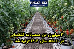 زهرا سلیمانی خبرنگار نگرش اقتصادی