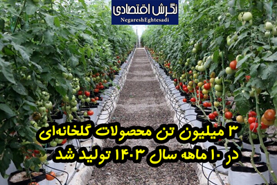 زهرا سلیمانی خبرنگار نگرش اقتصادی