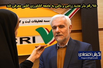 رییس موسسه تحقیقات ثبت و گواهی بذر و نهال کشور