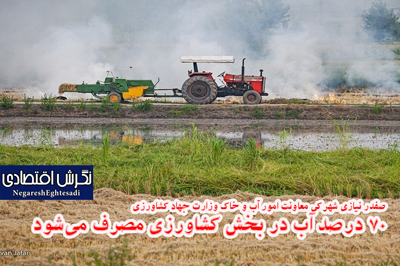 صفدر نیازی شهرکی معاونت امور آب و خاک وزارت جهاد کشاورزی ۷۰ درصد آب در بخش کشاورزی مصرف می‌شود