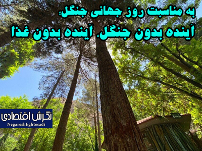 زهرا سلیمانی خبرنگار نگرش اقتصادی