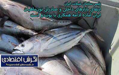 ارتقای بازارهای داخلی و صادراتی تون‌ماهیان
