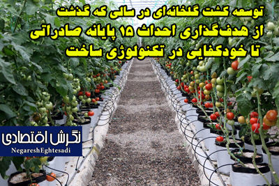 توسعه کشت گلخانه‌ای در سالی که گذشت از هدف‌گذاری احداث ۱۵ پایانه صادراتی تا خودکفایی در تکنولوژی ساخت