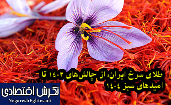 طلای سرخ ایران: از چالش‌های ۱۴۰۳ تا امیدهای سبز ۱۴۰۴