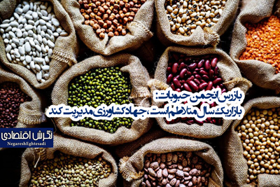 بازرس انجمن حبوباتزار یک سال متلاطم است، جهاد کشاورزی مدیریت کند
