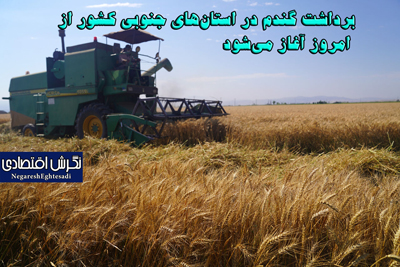 برداشت گندم در استان‌های جنوبی کشور از امروز آغاز می‌شود