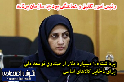 برداشت ۱.۵ میلیارد دلار از صندوق توسعه ملی برای ذخایر کالاهای اساسی