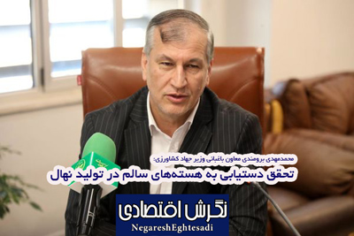 محمدمهدی برومندی معاون باغبانی وزیر جهاد کشاورزی: تحقق دستیابی به هسته‌های سالم در تولید نهال