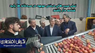 تمام سیب‌های درختی موجود در سردخانه‌ها باید شناسه دار باشند
