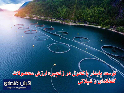 مدیر برنامه ملی توسعه شهرک‌های گلخانه‌ای و شیلاتی معاونت علمی ریاست جمهوری