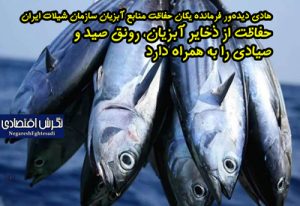 هادی دیده‌ور فرمانده یگان حفاظت منابع آبزیان سازمان شیلات ایران 