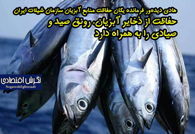 هادی دیده‌ور فرمانده یگان حفاظت منابع آبزیان سازمان شیلات ایران