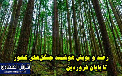 رصد و پویش هوشمند جنگل‌های کشور تا پایان فروردین