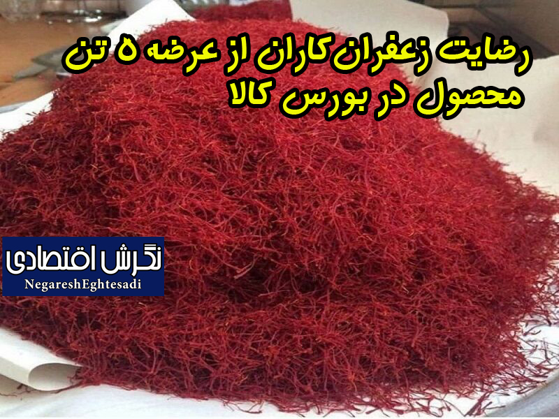 مدیرعامل سازمان تعاون روستایی