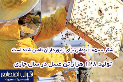 شکر 38500 تومانی برای زنبورداران تامین شده است