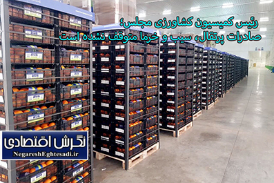 صادرات پرتقال، سیب و خرما متوقف نشده است