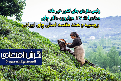 صادرات ۱۷ میلیون دلار چای