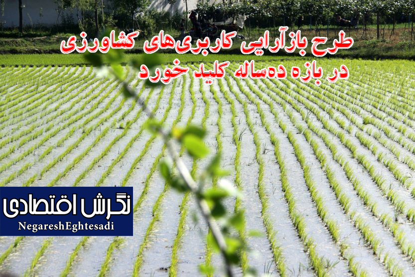 طرح بازآرایی کاربری‌های کشاورزی در بازه ده‌ساله کلید خورد