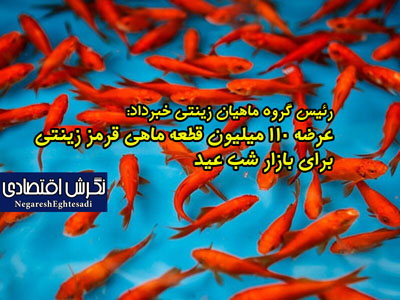 رئيس گروه ماهيان زينتي خبرداد: عرضه ۱۱۰ ميليون قطعه ماهي قرمز زينتي براي بازار شب عيد