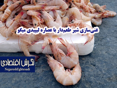 غنی‌سازی شیر طعم‌دار با عصاره لیپیدی میگو