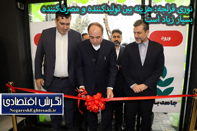 نوری قزلجه: هزینه بین تولیدکننده و مصرف‌کننده بسیار زیاد است