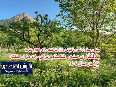 مشاور معاون امور باغبانی وزارت کشاورزی اعلام کرد؛ هدفگذاری صدور شناسنامه برای ۵۸۰ هزار هکتار باغ در سال ۱۴۰۴