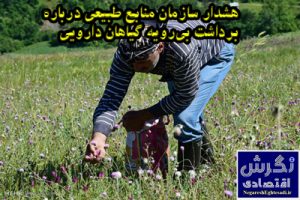 زهرا سلیمانی خبرنگار نگرش اقتصادی