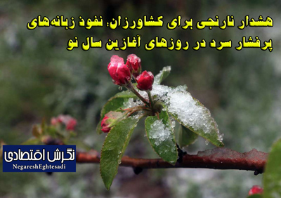 هشدار نارنجی برای کشاورزان؛ نفوذ زبانه‌های پرفشار سرد در روزهای آغازین سال نو