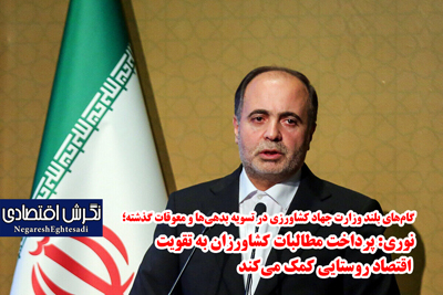 نوری: پرداخت مطالبات کشاورزان به تقویت اقتصاد روستایی کمک می‌کند