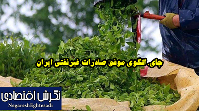 چای، الگوی موفق صادرات غیرنفتی ایران