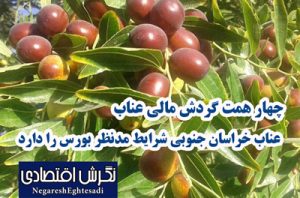 چهار همت گردش مالی عناب/ عناب خراسان جنوبی شرایط مدنظر بورس را دارد چهار همت گردش مالی عناب