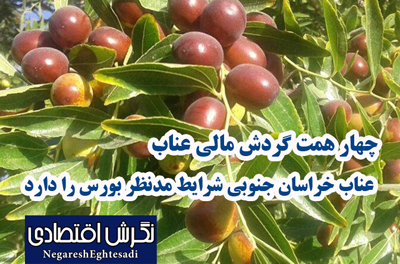 چهار همت گردش مالی عناب