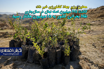 کاشت ۱۶۵ میلیون اصله نهال در سال‌جاری نقاط بحرانی کشور به ۱۵ میلیون هکتار رسید