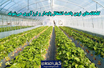 رئیس سازمان جهاد کشاورزی استان تهران