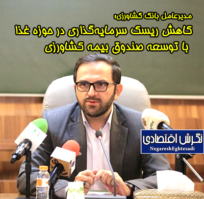 کاهش ریسک سرمایه‌گذاری در حوزه غذا با توسعه صندوق بیمه کشاورزی