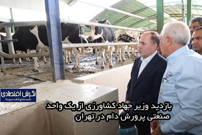 بازدید وزیر جهاد کشاورزی از یک واحد صنعتی پرورش دام در تهران