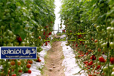 اصفهان بزرگ‌ترین سطح کشت گلخانه‌ای کشور را دارد