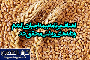 اهداف برنامه بیمه اجباری گندم و دانه‌های روغنی محقق شد