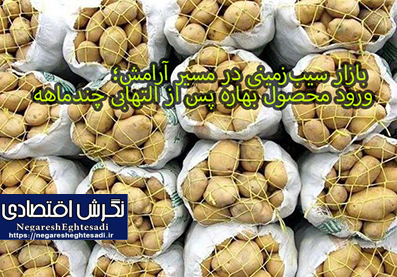 بازار سیب‌زمینی در مسیر آرامش؛ ورود محصول بهاره پس از التهابی چندماهه