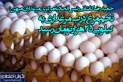 تخم مرغ درب مرغداری به کیلویی ۲۵ هزار تومان رسید