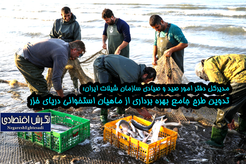 تدوین طرح جامع بهره‌ برداری از ماهیان استخوانی دریای خزر