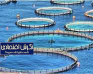 تمرکز بر کیفیت و فناوری‌های نوین در صنعت شیلات ایران